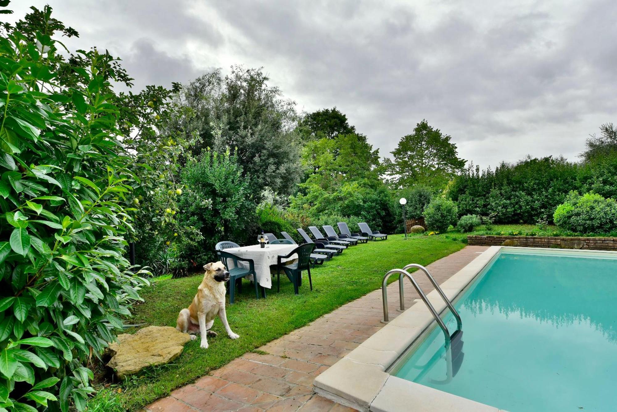 Agriturismo Corvaia Radicofani Eksteriør bilde